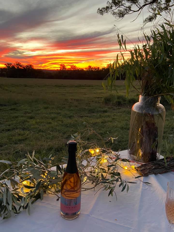 184884068 4554663421217546 1846427599597342746 n