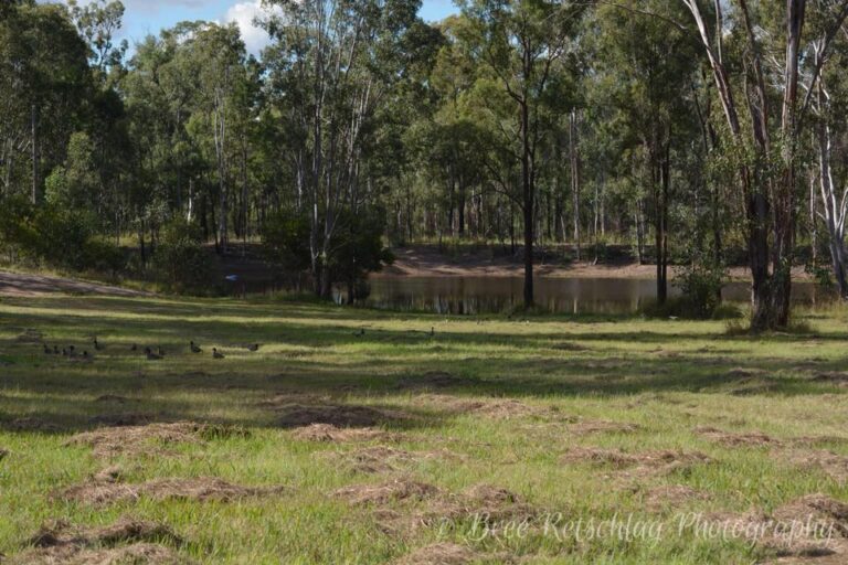 32969688 299729647228756 7493365691131625472 n 768x512