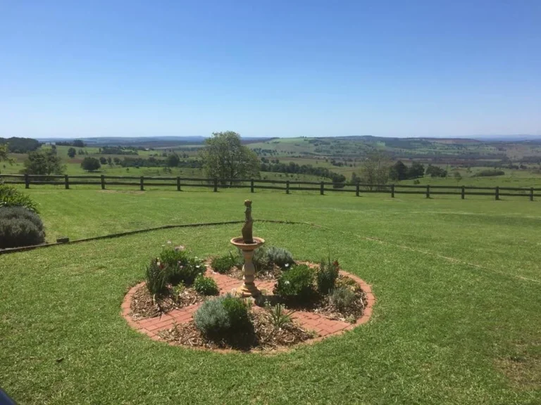 368249772 783515373782518 467593875401089074 n 768x576