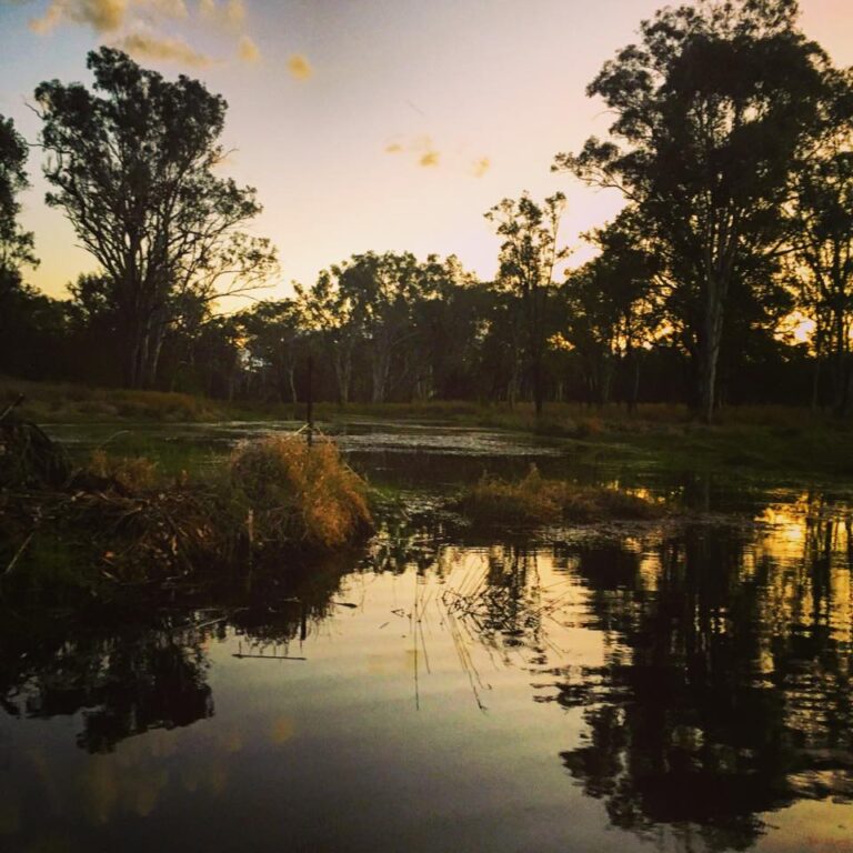 475153033 1202624514561472 3980762472279380931 n 768x768