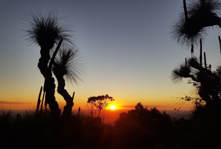 518289240 1194314676059915 121754885983132191 n 768x519