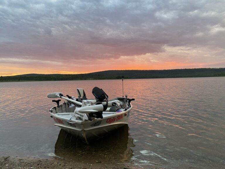 542759838 1447978263468776 8053305012562418008 n 768x576