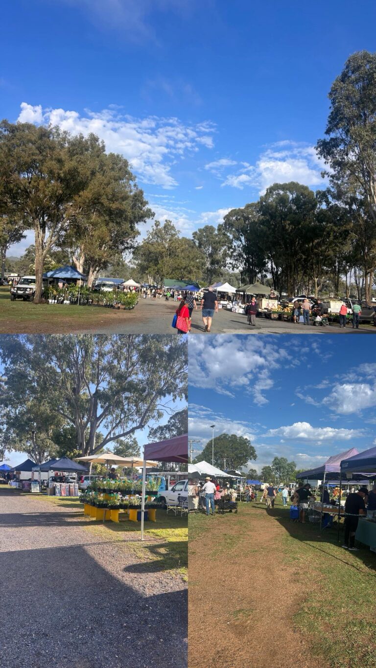 573594423 1491513445421348 3441051888410552707 n 768x1365