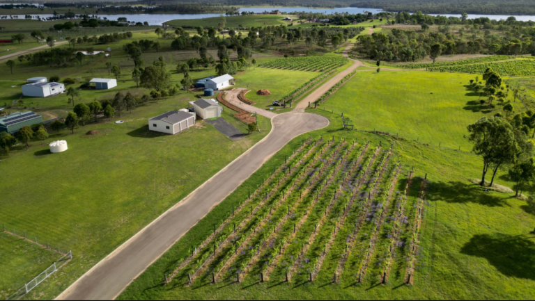 93EED0CB CD20 48A7 998D 549941D004FB 768x433