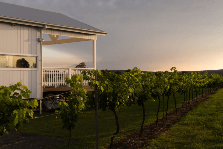 9b05b417 082f 41fc 87ca d353cfbb93b6 768x512