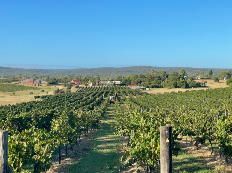 CFFA7D9D 4468 414C 9803 9EFCBDDFF9FD 768x573