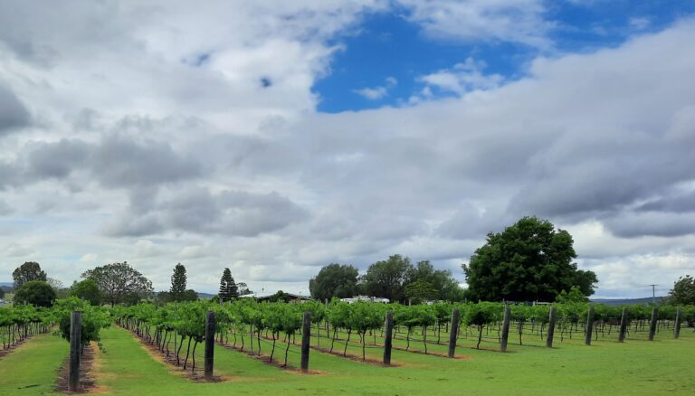 e4065e a1232831c2414a1e8f5084eba93f50f5mv2 768x438