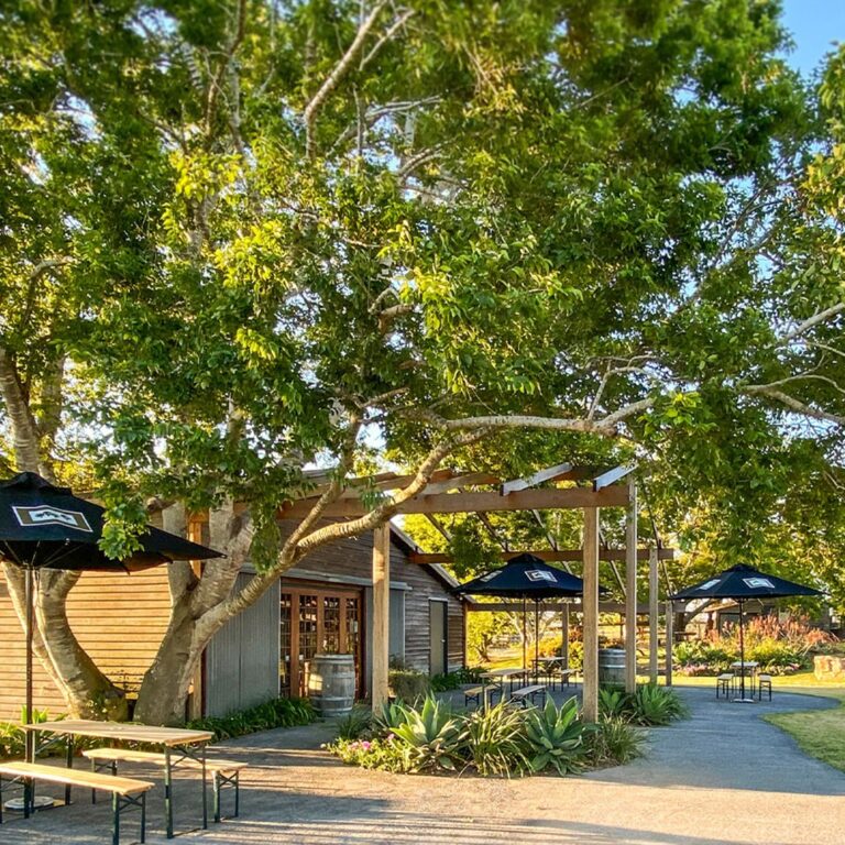 visit cta square 1 768x768